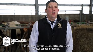 3.5K views · 122 reactions | Master Breeders • 2022 • Maîtres-éleveurs RJF are now Master Breeders in two breeds! RJF sont désormais Maîtres-éleveurs dans deux races! | Holstein Canada | Facebook