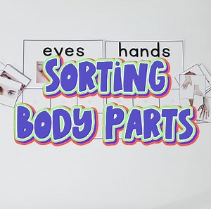 🎯🧠 Body Parts Non-Identical Sorting Activity 🖐️👂👃 This engaging matching/sorting resource helps students identify and categorize different body parts using real, non-identical photos. A great way to build vocabulary, visual discrimination, and receptive language! Use it for: ✔️ SPED SLP sessions ✔️ Centers independent work ✔️ Preschool Kindergarten ✔️ Early intervention Students will sort images of: eyes, nose, mouth, ears, hands, feet, arms, legs, and more! Easy prep, fun practice, meaning