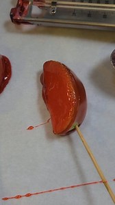 Candy apples, again!! #candyapples #samples #fallsnacks #fallfun #appleseason | Lynnette's Cakes and Catering