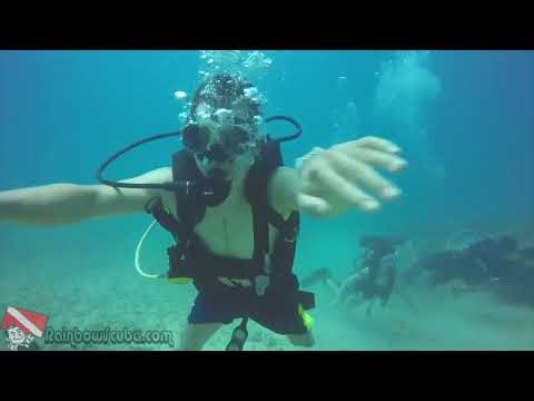 Honolulu Scuba Diving Thrill | Reef Shark Encounter at Horseshoe Reef