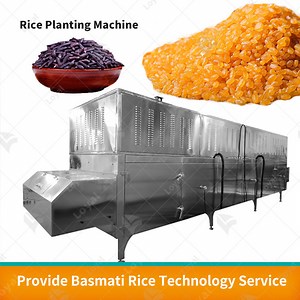 [Hot Item] Professional Automatic Production Equipment Nutritional Rice Production Line
