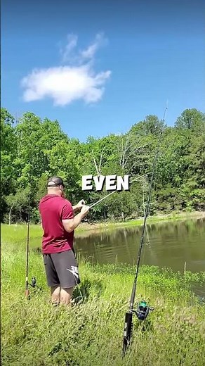 The Bass That Broke 30 State Records!!! #bigbass #bassfishing #viral #shorts