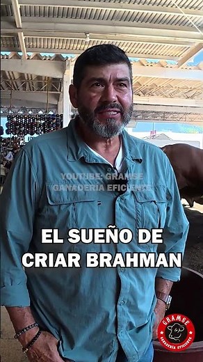 The dream of raising registered Brahman cattle #cattlefarming #farm #cebu #brahman #bulls