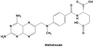 METHOTREXATE SAR, Synthesis, Mechanism of action, Therapeutic actions, Side effects and MCQ - Gpatindia: Pharmacy Jobs, Admissions, Scholarships, Conference,Grants, Exam Alerts
