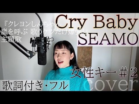 【女性が歌う】「Cry Baby」- SEAMO（歌詞付きフル）クライ・ベイビー - シーモ・Cover by 巴田みず希（ともだみずき）+2