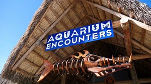 33K views | Book a Weekend or VIP pass to The Family Reunion and get a free day pass to Florida Keys Aquarium Encounters during your stay. Get more details about The Family Reunion Here https://www.waterboxaquariums.com/thefamilyreunion/ | Waterbox Aquariums | Facebook