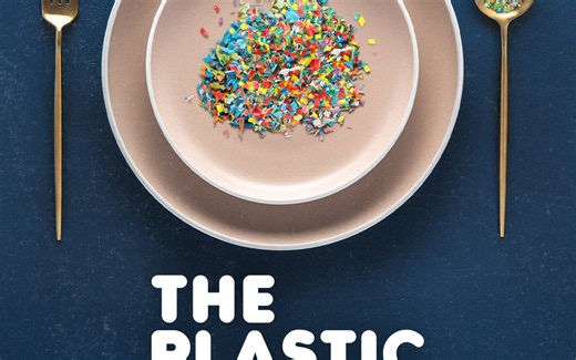 The Plastic Detox Reviews - Metacritic