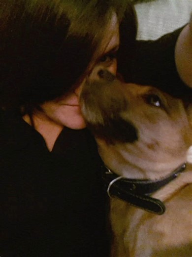 En memoria de nuestra Guetta ❤️ un angelito en tierra que tuvo la buena estrella de cruzarse con el buen corazón de mi hermano Gabi, para su suerte y la nuestra, y que siempre será parte de nuestra familia y nuestro corazón. Era buena, era cholula y le gustaban los yogurcitos. Esta canción no sabía que la componía para ella, solo me levanté con esa tristeza y alegría el mismo día que fue lo que fue... y supe... ☺️ Te amamos y te vemos arriba Guetta ✨🌠 ❤️ Tu familia #somosluz #perros que son #an