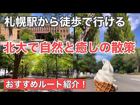 【札幌おすすめ観光】徒歩1時間で巡る北海道大学｜緑と静けさに癒される札幌駅からの散策ルート