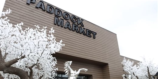 Ocala CEP highlights Paddock Mall expansion