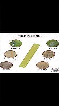 Types of cricket pitches explained!