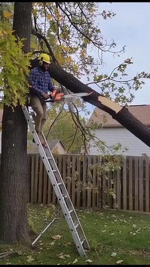 Wow lucky! | Allen Collier