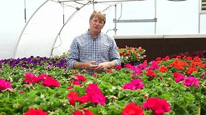 2.3K views · 75 reactions | The South Carolina Botanical Garden is...