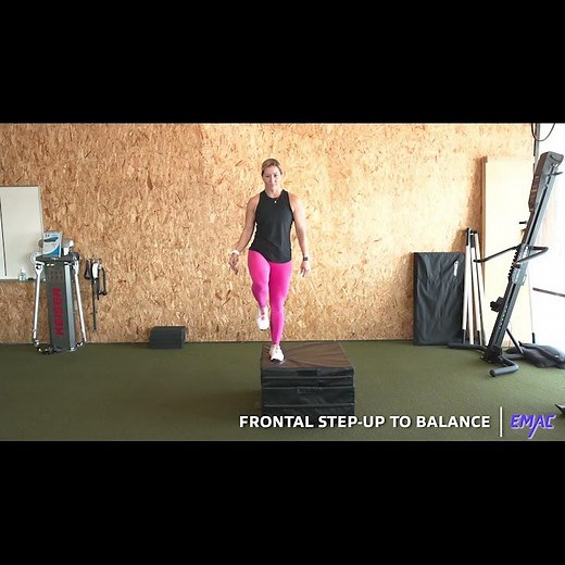 Multiplanar Step Up To Balance