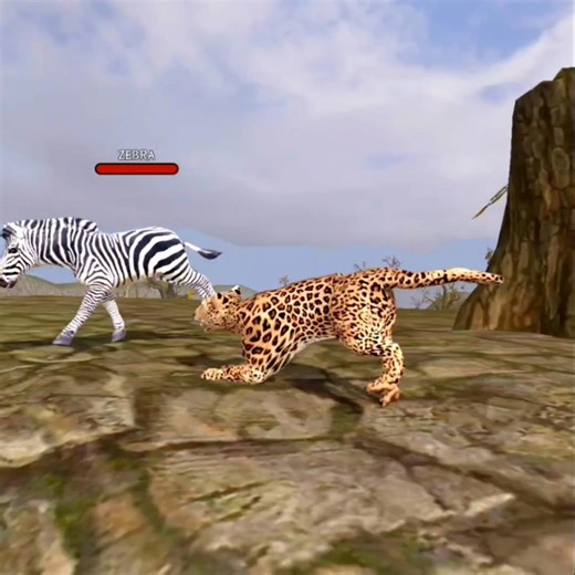 Wild Leopard's #wildcraft 🐆 Hunted Poor Zebra 🦓