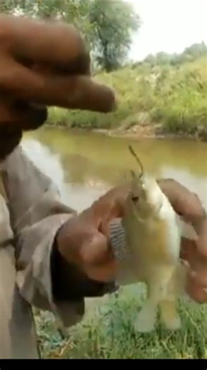 “Hook Fishing Surprise! Small Fish → Big BBQ 🔥🐟” #fishing #campfire