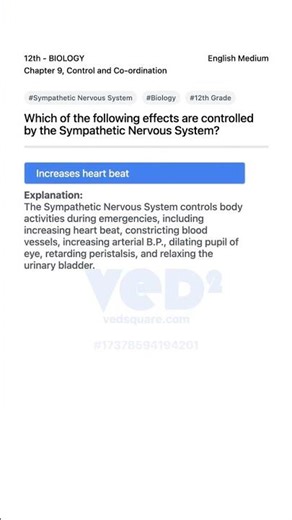 Sympathetic Nervous System Effects 12th Biology