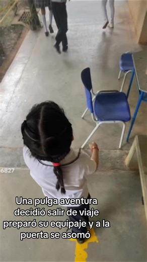 Videos de 6B el mejor 🎓 (@6b.el.mejor012) con “sonido original - 6B el mejor 🎓”