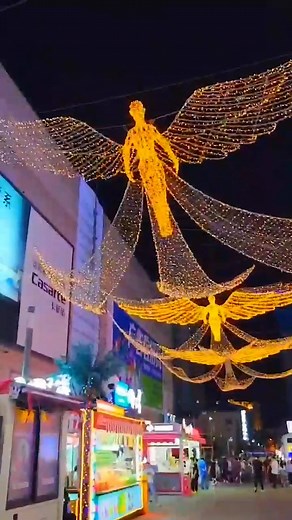 青島の魅力を発見するツアー情報