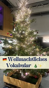 🇩🇪✨ Weihnachtliches Vokabular auf Deutsch mit @westartspaces 🎄✨ In diesem Video zeige ich dir typische Wörter rund um die Weihnachtszeit – kennst du sie schon alle? 🎅👇 ➡️ den Weihnachtsbaum schmücken ➡️ die Lichterkette ➡️ die Weihnachtskugeln / Christbaumkugeln ➡️ der Adventskalender ➡️ das Lebkuchenhaus ➡️ der Glühwein ➡️ der Kinderpunsch ➡️ der Weihnachtsstern ➡️ die Weihnachtsstimmung Bist du schon in Weihnachtsstimmung? 🎁💫 Erzähl es mir und schreibe gerne noch andere weihnachtlichen 