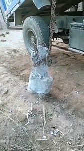 Amazing Force Wait For End | Discover Life