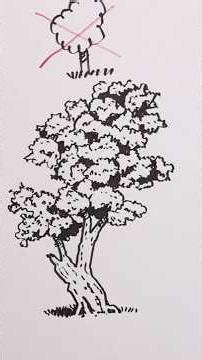 Draw a realistic TREE!
