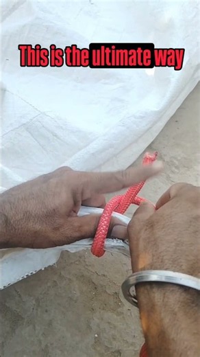 The Ultimate Tent Tie-Down Hack Every Camper Needs! ⛺🔥 #lifehacks #knot #usa