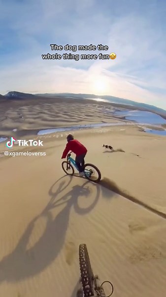 The dog made the whole thing more fun #desertsports #runwithdogs #desertbiker #extremsports #highlight #stunt #athletes #challenge @tiktok @tiktokglobal