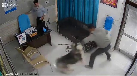 Husky attacks owner in vet's waiting room in India