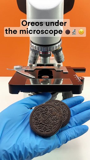 Exploring Oreos Under a Microscope