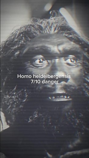 Ranking The Most Dangerous Human Species 💀#homosapiens#prehistoric#ancienthistory#viral#extinction