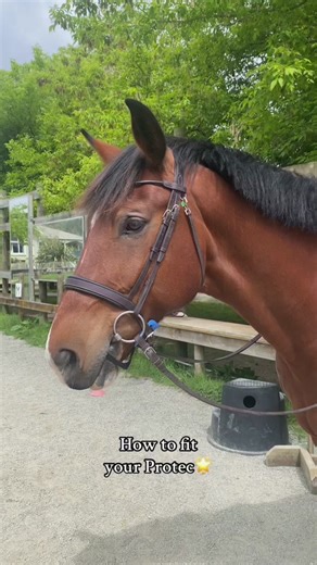 How to Fit Your Protec Equestrian Gear Effectively