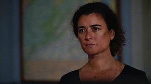 'NCIS' Star Diona Reasonover Teases Ziva's Return This Season: 'The Stakes Just Go Whoosh Up' (Exclusive)