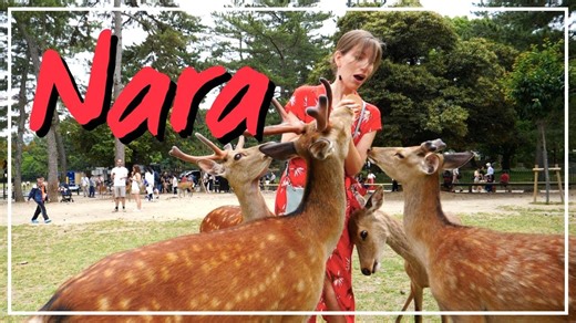 Exploring Nara: Bowing Deer, Ancient Temples & Street Food Tour