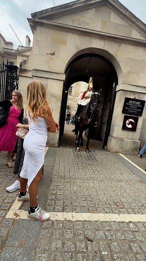 She’s trying to do modelling and ignore the rules in Royal King’s Life Guard Parade #highlightsシ゚ #uk #london #シ゚ #fb #fbreelsfypシ゚viralシ #reelsvideoシ #reelsfacebook #fypシ゚ #fypviralシ #trendingreels #trendingnow #followers | King’s Life Guard London