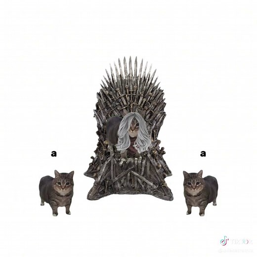 OIIA Cat: A Unique Twist on Game of Thrones
