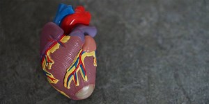 Lp(a) and CVD risk & clinical tests to measure Lp(a) - Peter Attia