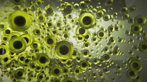 Hundreds of eggs, spawn or spores flying in the water. Sci-fi scene picturing some alien organism, deadly bacteria or virus infection spreading.