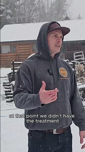 Permanently removing moss on shingle roofs #roofrepair #roofing