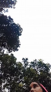 Simpi Short on Reels