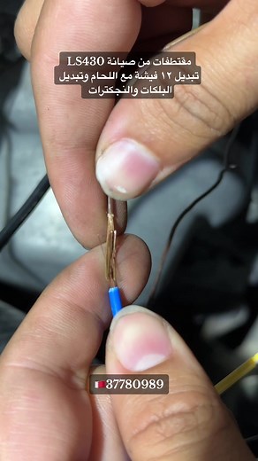 السلمابادي على TikTok