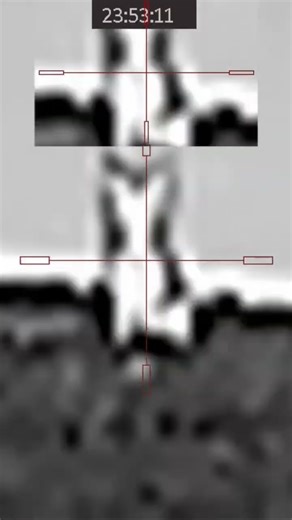 ❗️RED FOX ON TOP OF HILL❗️#foxpro #mfk #foxhunting #thermalscope #thermalhunting #predatorhunting