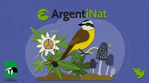 55 reactions · 17 shares | En este video, te mostramos como cargar...