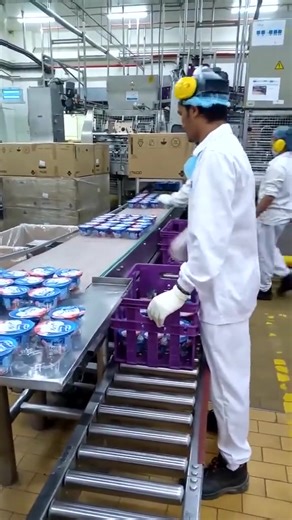 3.8K views | Learn more about job opportunities in the food industry worldwide and discover useful tips for applying and working in this sector | PolicyPicker | Facebook