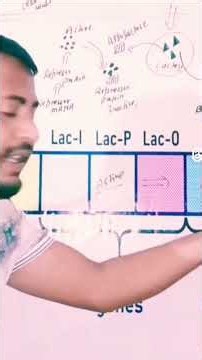 Lac operon .Class 12 NCERT.NEET Biology....