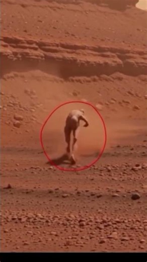 Elon Musk's Mars Rover Found a CREATURE - Scientists Are Speechless