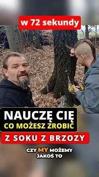 What can you make from Birch Sap? - I translate