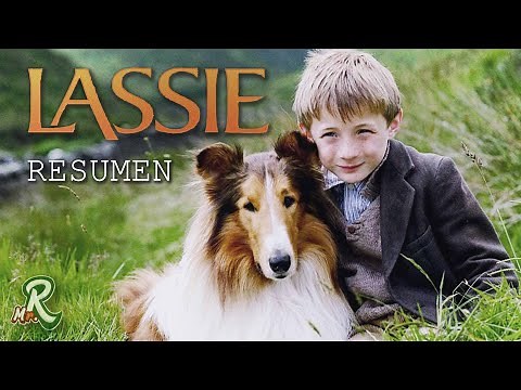 LASSIE (2005) | RESUMEN de un Perro que viajara por mucho tiempo para volver a casa