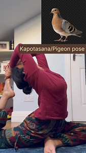 Yoga Inspired by birds—symbols of freedom, balance, and resilience. Through yoga, we learn when to ground ourselves and when to spread our wings. #yoga #is #lifestyle #balance #yogapractice #yogalife #asana #flexibility #yogachallenge #yogaposes #inspired | Monica Rana