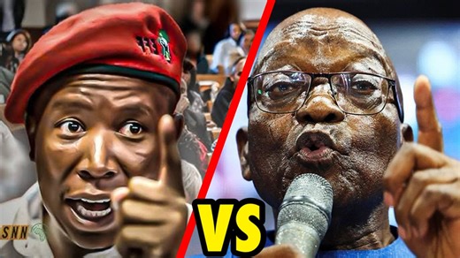 CONFLICT : ZUMA vs MALEMA it Hides a Big SECRET That No One Talk About | Cool Buzz